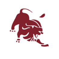 ASLAN Pharmaceuticals Limited logo