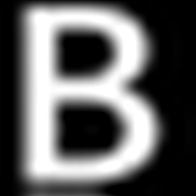 BlackRock Energy and Resources Trust logo