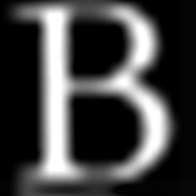 Blackstone Gso Senior Floating Rate logo