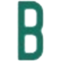 Bit Digital Inc logo
