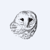 Dana Limited Volatility ETF logo