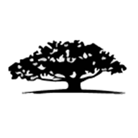 WisdomTree Emerging Markets Corporate Bond Fund logo