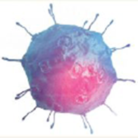 Galera Therapeutics Inc. logo