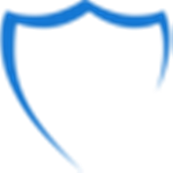 National Security Group, Inc. logo