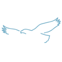 Porter & Company Property & Casualty Index ETF logo