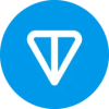 TON Strategy Company logo