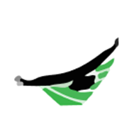 Ageagle Aerial Systems Inc logo