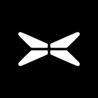 Xpeng Inc ADR logo