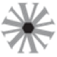 Zweig Tot Rtn logo